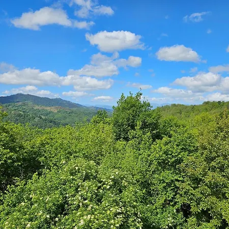 Hotel Rural Casa Migio 2*