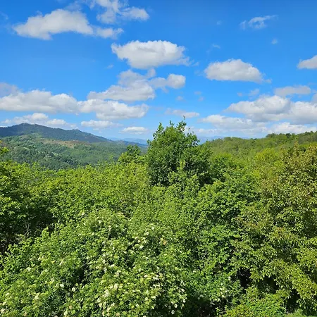 Rural Casa Migio Urbiés