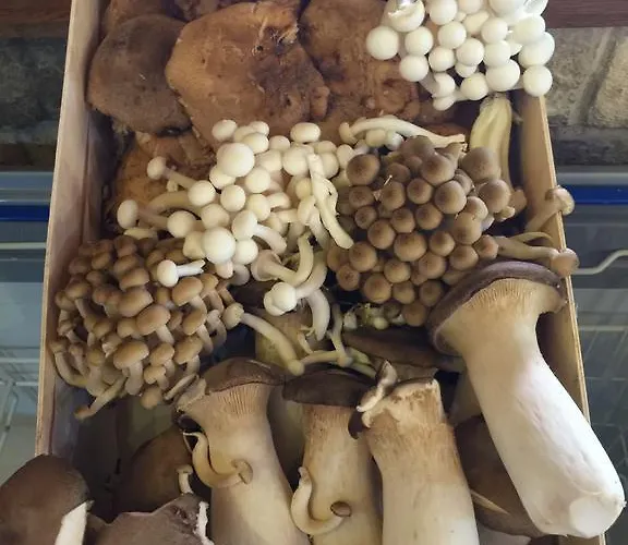 Rural Casa Migio Ξενοδοχείο